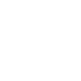 NCAA Logo